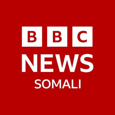 bbc arab porn|arab